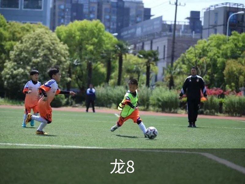 走进龙8